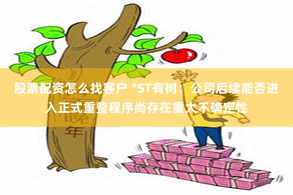 股票配资怎么找客户 *ST有树：公司后续能否进入正式重整程序尚存在重大不确定性