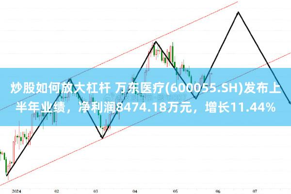 炒股如何放大杠杆 万东医疗(600055.SH)发布上半年业绩，净利润8474.18万元，增长11.44%