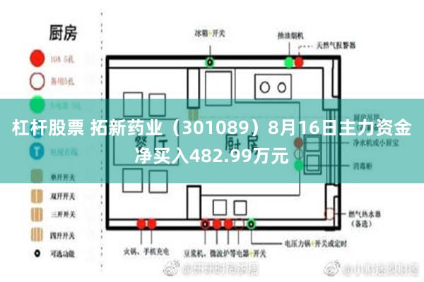 杠杆股票 拓新药业（301089）8月16日主力资金净买入482.99万元