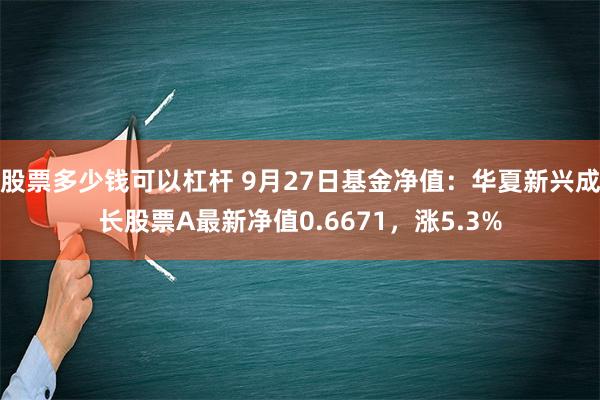 股票多少钱可以杠杆 9月27日基金净值：华夏新兴成长股票A最新净值0.6671，涨5.3%