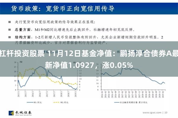 杠杆投资股票 11月12日基金净值：鹏扬淳合债券A最新净值1.0927，涨0.05%