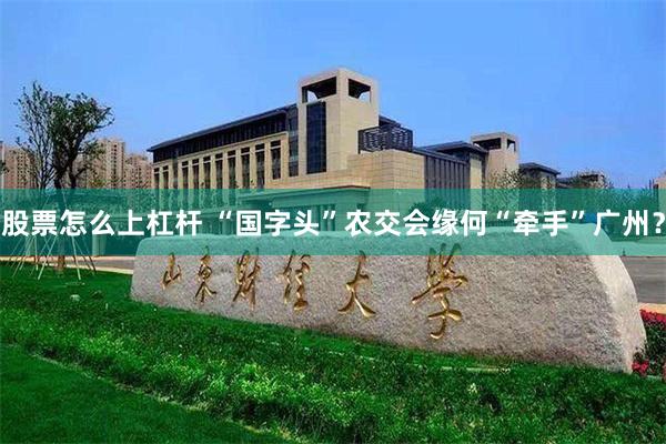 股票怎么上杠杆 “国字头”农交会缘何“牵手”广州？