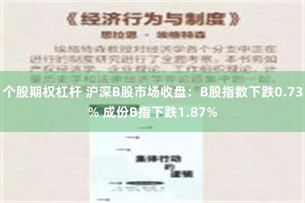 个股期权杠杆 沪深B股市场收盘：B股指数下跌0.73% 成份B指下跌1.87%